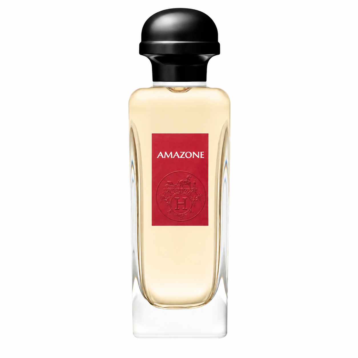 Hermes Amazone 100ml EDT - Women