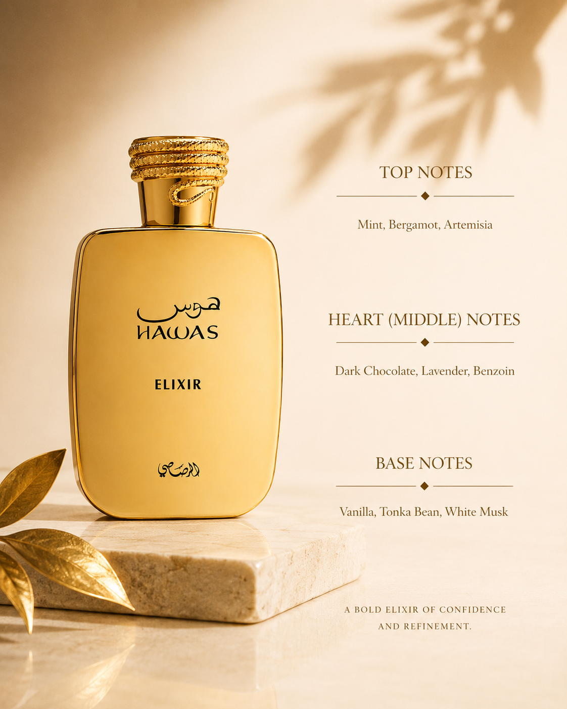 Rasasi Hawas Elixir 100ml EDP - Men